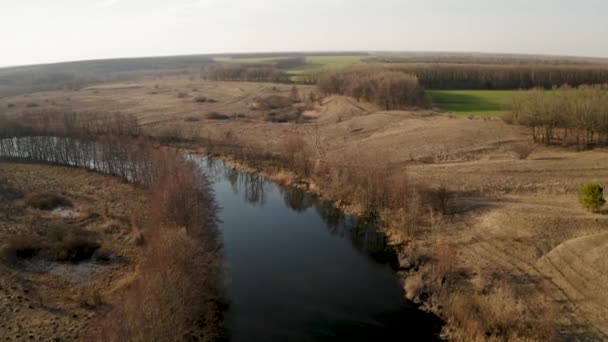 Політ квадрокоптера вздовж весняної річки в оточенні сухої жовтої рослинності, аерофотозйомка — стокове відео