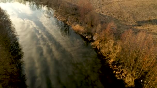 Flying a quadcopter along a spring river surrounded by dried yellow vegetation, aerial video — Stock Video