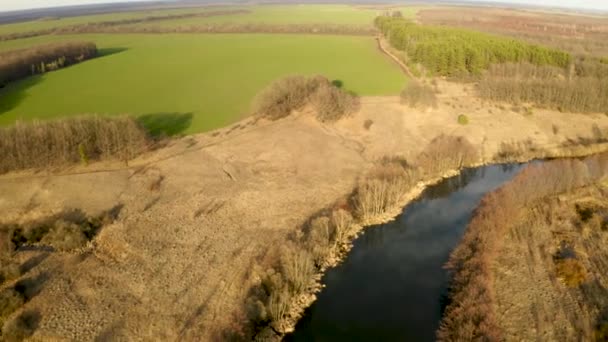 Flying a quadcopter along a spring river surrounded by dried yellow vegetation, aerial video — Stock Video