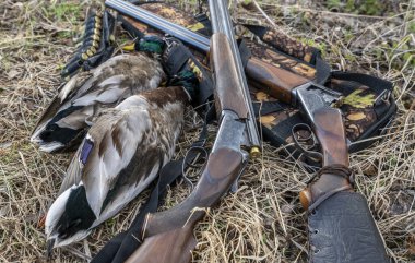 Av tüfekleri, fişekli ve av drake 'li bandocular durgun bir yaşam formunda bulunurlar..