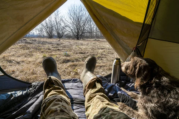 View from a tourist tent, legs dressed in camouflage and Hiking boots sticking out of the tent and next to it lies a dog of the Drathaar hunting breed.