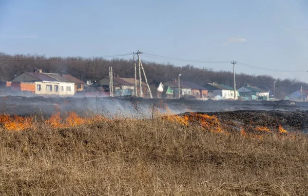 Yanan otların alevi evleri tehdit eder..