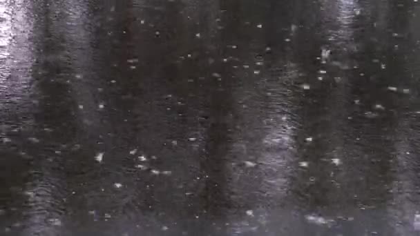 Весна проливной дождь, капли дождя падают на дорогу покрытые черным асфальтом, колеса автомобиля проходят брызги воды и оставляют следы на асфальте — стоковое видео