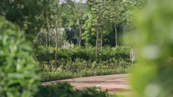 Padre Hijo Chinos Sonriendo Corriendo Parque Verano — Vídeos de Stock