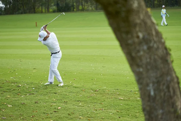 Asya golfçü sallanan club golf sahası darbede için