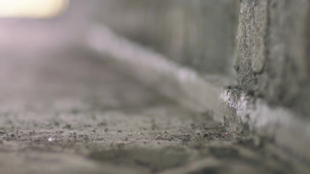Close Rusty Plumb Bob Hung Concrete Wall — Stok video