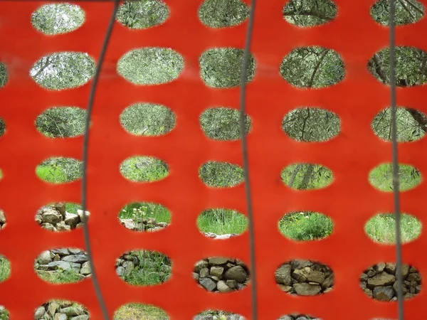 Pomar de oliveira visto através de escudo de plástico com buracos — Fotografia de Stock