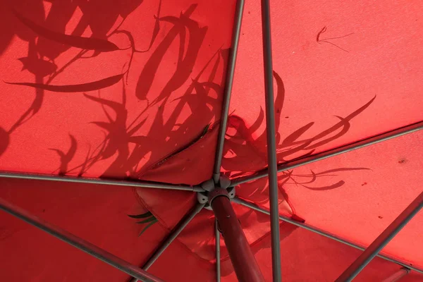 Parasoll med skuggor av löv — Stockfoto