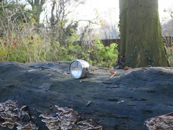 Lost bicycle lamp left on a fallen tree in the park — Stock Photo, Image