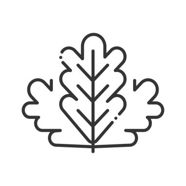 Herb siyah çizgi simgesi bırakıyor. Salata tabelası. Doğal sebze kavramı. Sağlıklı, organik yiyecekler. Yemek malzemesi. Web sayfası için piktogram, mobil uygulama, tanıtım. Ui Ux tasarım elemanı. Düzenlenebilir vuruş.