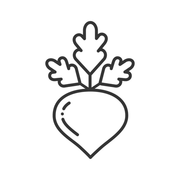 Icono de línea negra de remolacha. Signo vegetal natural. Concepto de comida sana y orgánica. Ingrediente de cocina. Pictograma para página web, aplicación móvil, promo. UI UX elemento de diseño de interfaz gráfica. Carrera editable . — Vector de stock