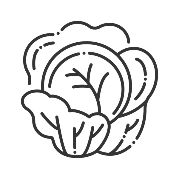 Coliflor línea icono negro. Signo de repollo. Comida sana y orgánica. Ingrediente de ensalada. Vegetales naturales. Planta agrícola. Pictograma para página web, aplicación móvil. UI UX elemento de diseño de interfaz gráfica. Carrera editable . — Vector de stock