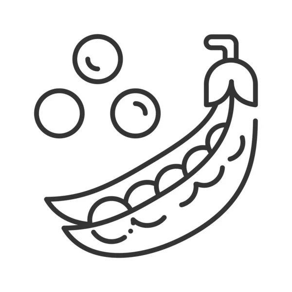 Pods van groene erwten en verspreid erwten bonen zwarte lijn pictogram. Natuurlijk groente. Gezond, biologisch voedsel. Koken ingrediënt. Pictogram voor webpagina, mobiele app, promo. Ui Ux Gui design element. — Stockvector