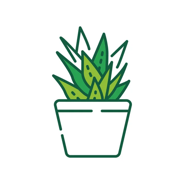 Icône de ligne de couleur pot de fleur d'aloès. Plante d'intérieur décorative. Peut être utilisé pour hydrater la peau. Pictogramme pour page web, application mobile, promo. UI UX GUI élément de conception. Course modifiable . — Image vectorielle