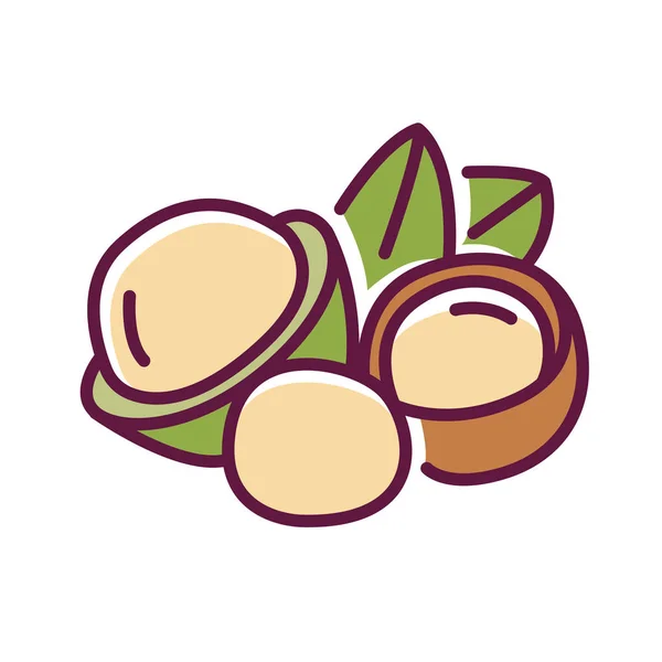 Macadamias färgikon. Nötter i skalet och med blad. Piktogram för webbsida, mobilapp, promo. Ui Ux Gui designelement. Redigerbar stroke. — Stock vektor