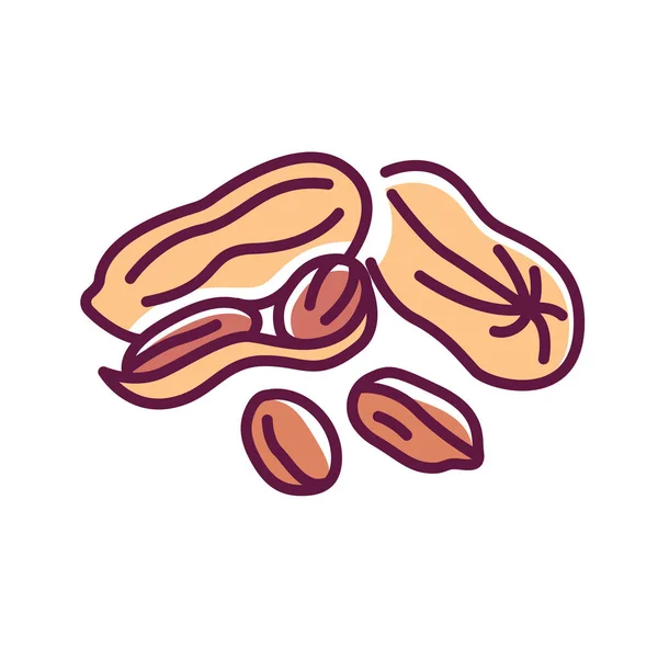 Peanut color line icon. Nuts in the shell. Pictogram for web page, mobile app, promo. UI UX GUI design element. Editable stroke. — Stock Vector