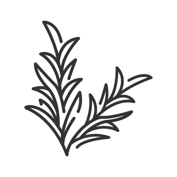 Rosemary branch black line icon. Herbs and spices. Cooking ingredient. Pictogram for web page. — Stock Photo, Image