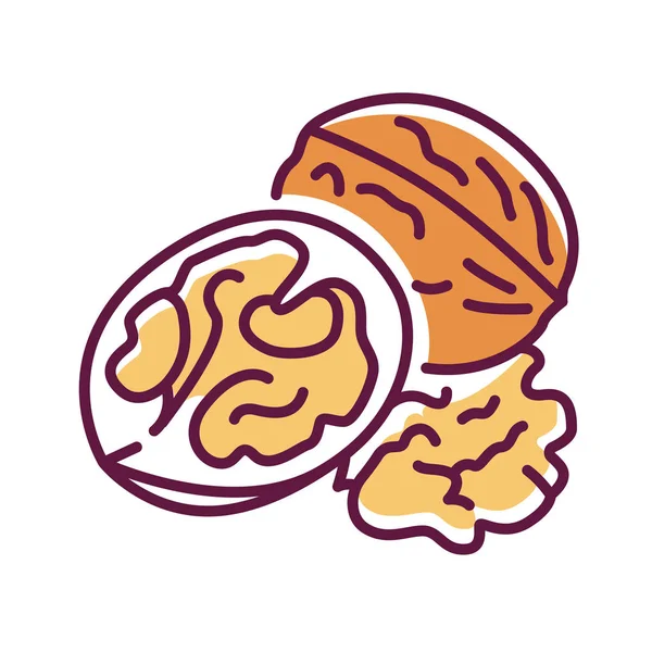 Walnut color line icon. Produces a desirable fruit with medicinal properties. Pictogram for web page, mobile app, promo. Editable stroke. — 스톡 사진