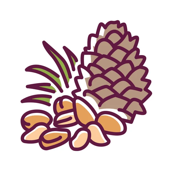 Кольорова ікона сосни. Їстівне насіння соснових дерев. Один з найдорожчих горіхів на ринку. Pictogram for web page, mobile app, promo. Розроблений Ui Ux Gui. Приємний інсульт. — стоковий вектор