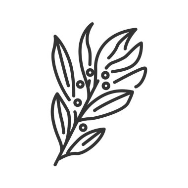 Saha yaprağı siyah çizgi simgesi. Baharat ürünü. Yemek malzemesi. Web sayfası, mobil uygulama, tanıtım için resim grafiği.