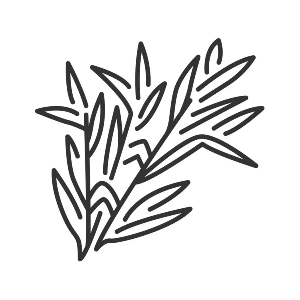 Branche estragon icône de ligne noire. Herbes et épices. Ingrédient de cuisson. Pictogramme pour page web . — Image vectorielle