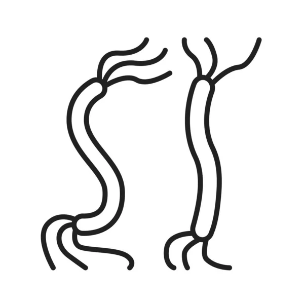 Bactéries spirille ligne noire icône. Spirochètes signe de micro-organisme. Concept de microbiologie. Pictogramme pour web, application mobile, promo. Élément de conception UI UX. Course modifiable . — Image vectorielle