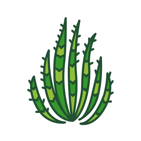 Cactus color line icon. Kind of a plant adapted to hot, dry climates. Pictogram for web page, mobile app, promo. UI UX GUI design element. Editable stroke. — Stock Vector