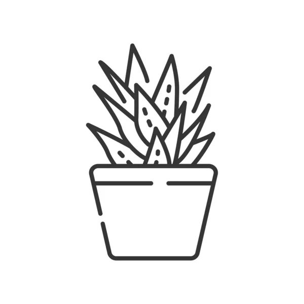 Icono de línea negra con maceta de aloe. Planta de interior decorativa. Puede ser utilizado para la piel hidratante. Pictograma para página web, aplicación móvil, promo. UI UX elemento de diseño de interfaz gráfica. Carrera editable . — Archivo Imágenes Vectoriales