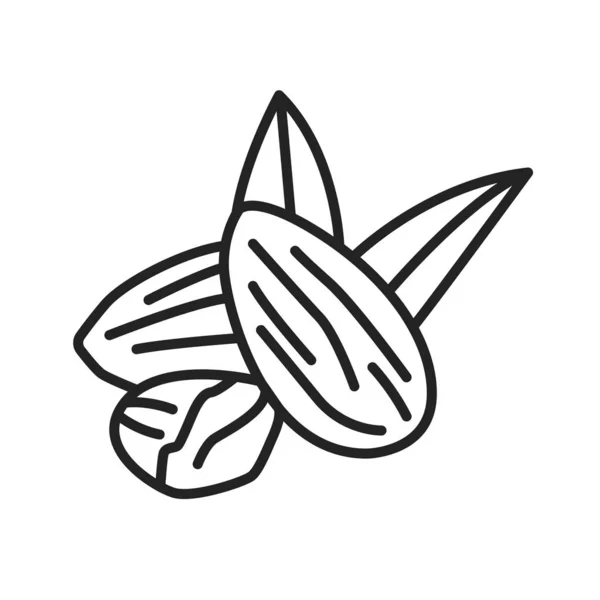 Icono Línea Negra Almendra Nueces Con Hojas Pictograma Para Página — Vector de stock