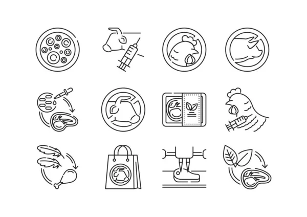 고기검은 아이콘 고기는 안에서 자라는 아니라 배양에서 자란다 페이지를 Pictogram — 스톡 벡터