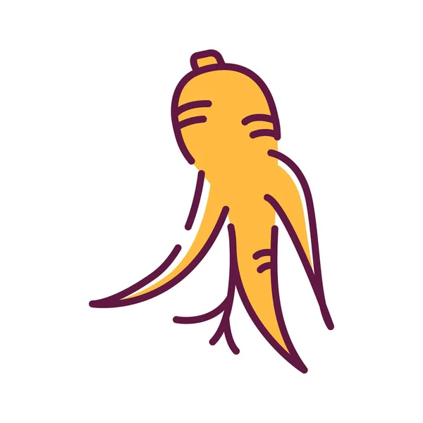 Korean Dry Ginseng Root Line Color Icon 건포도 아이콘 시아를 — 스톡 벡터