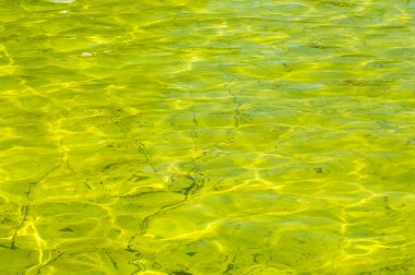 Doku, arka plan. su havuzu, havuz içinde sarı renkli sarı su