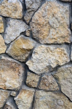 Doku, arka plan. Çit çizgili vahşi taş, granit, kumtaşı