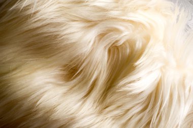 Doku, arka plan. Kürk yak Beyaz önlük erkek. hissediyorum, görünür