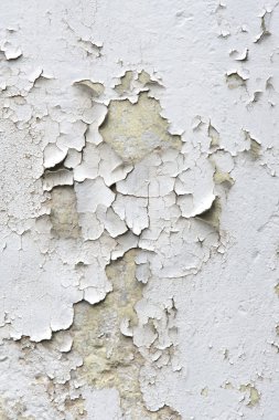 Doku, desen, arka plan. eski boya. Beton duvar boya, boya soyut beton arkasında kırık. Beyaz ses tonuyla boya zaman içinde flakes