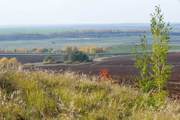 Höst Indian Summer Period Ovanligt Torr Och Varm Väder Som — Stockfoto