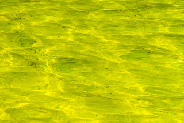 Вода Жовтому Басейні Дитячий Майданчик Поїздки — стокове фото