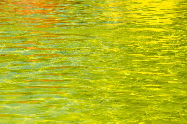 Texture Fond Eau Piscine Piscine Jaune Couleur Eau Jaune