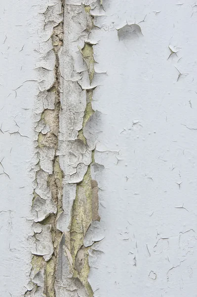 Doku, arka plan. Beton duvar eski boya dokusu — Stok fotoğraf