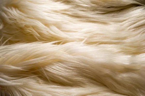Textúra, háttér. Fehér szőr jak. egy nagy háziasított vad ökör — Stock Fotó