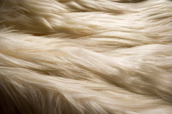 Doku Arka Plan Kürk Beyaz Yak Düzgün Saçlı Kambur Omuz — Stok fotoğraf