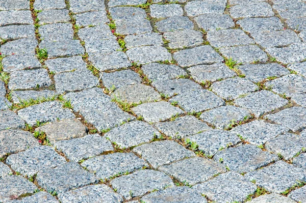 Textur Bakgrund Trottoaren Granitsten Asfalterade Vägbanan Gatan Stenlagd Yta Eller — Stockfoto