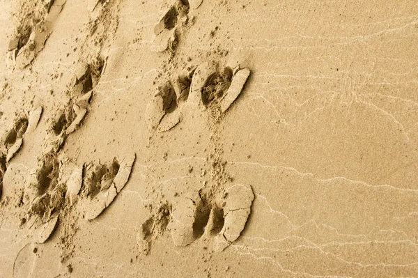 Textur Hintergrund Der Sand Strand Lose Körnige Substanz Blassgelblich Braun — Stockfoto