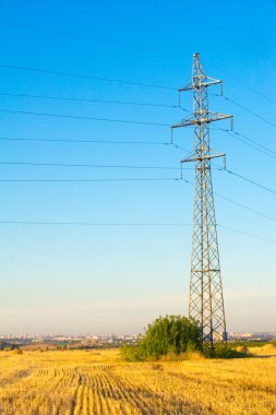 Doku, arka plan. Saman gelen buğday mowed. Gauss tarafından bulanık saman arka plan. Bu tasarımcılar için uygundur