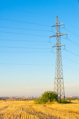 Doku, arka plan. Saman gelen buğday mowed. Gauss tarafından bulanık saman arka plan. Bu tasarımcılar için uygundur