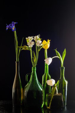 Şişeler, farklı şişe uzun kısa sarı mavi çiçekler 