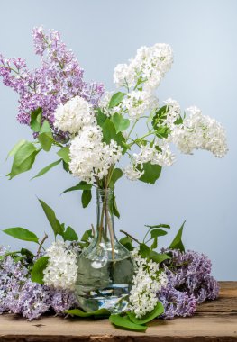 Doku, desen, arka plan. Eflatun çiçekler. soluk bir pembemsi-v