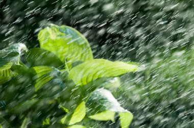 Yaz yağmuru. v düşüyor atmosferden nem yoğunlaşmış