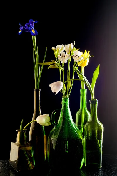 装在瓶子里 不同瓶长的短黄蓝色白色棕色花 花郁金香 鸢尾花 在黑色背景上的隔离 — 图库照片
