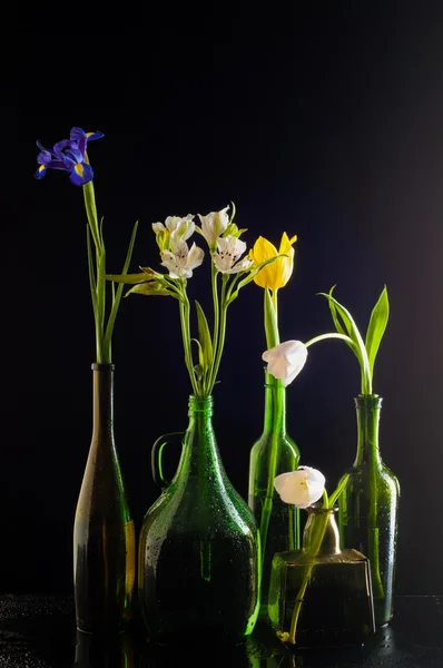 Flores nas garrafas, garrafa diferente longo curto amarelo azul — Fotografia de Stock